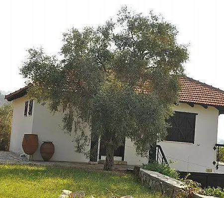 Dag Evi Dalyan