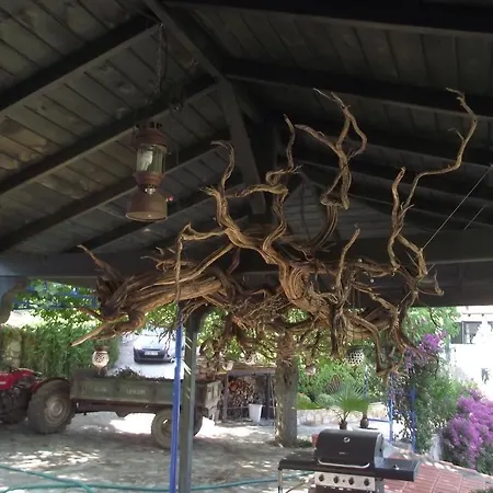 Country house Dag Evi Dalyan